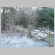 DSC08643.JPG