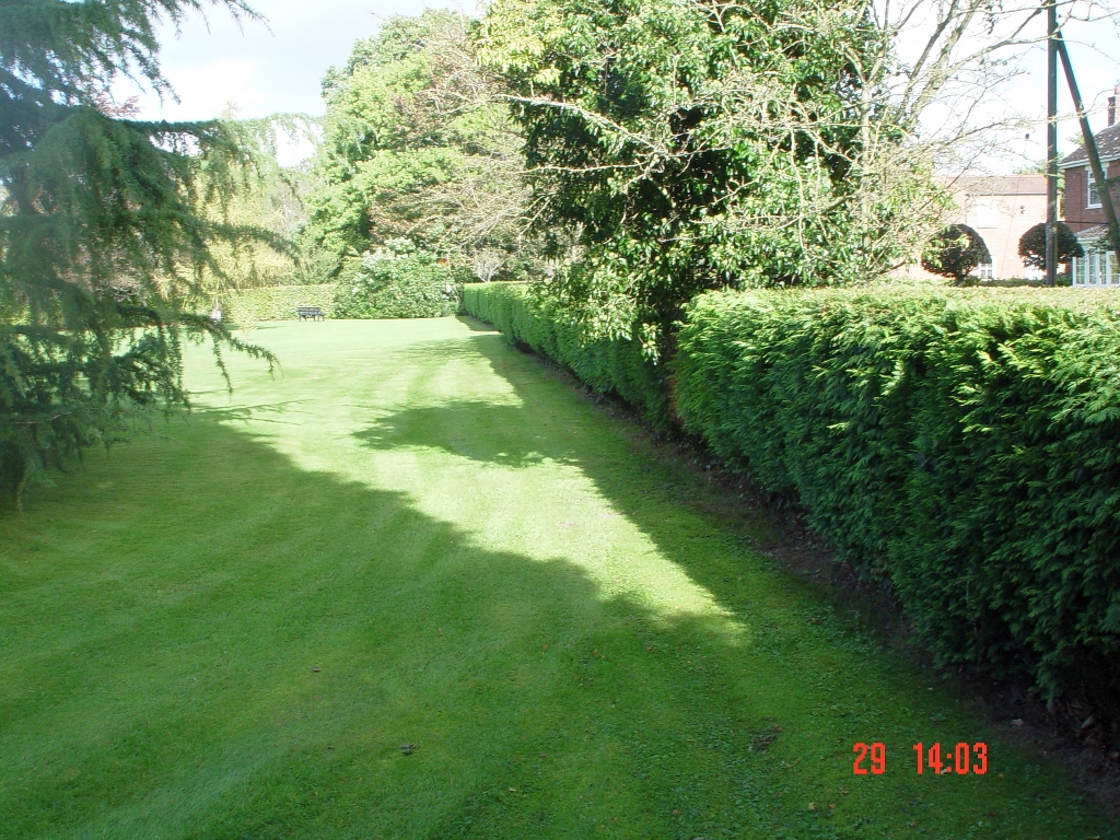 front-hedge-small.jpg