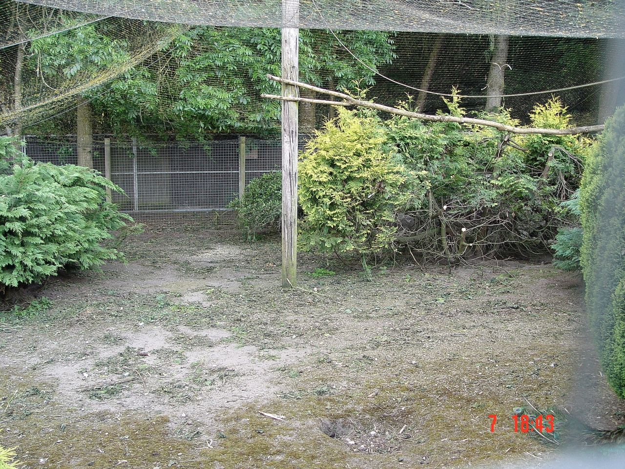 peafowl-aviary.jpg