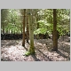 DSC03434.JPG